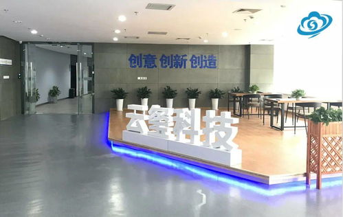 高新區(qū)優(yōu)秀企業(yè)及產(chǎn)品展示三 信息服務(wù)業(yè)務(wù)引領(lǐng)數(shù)字化未來(lái)